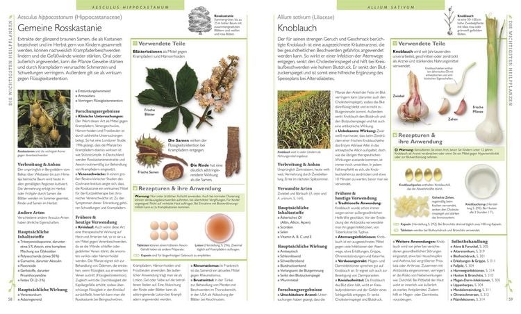 Produktbild: Das gro&szlig;e Lexikon der Heilpflanzen