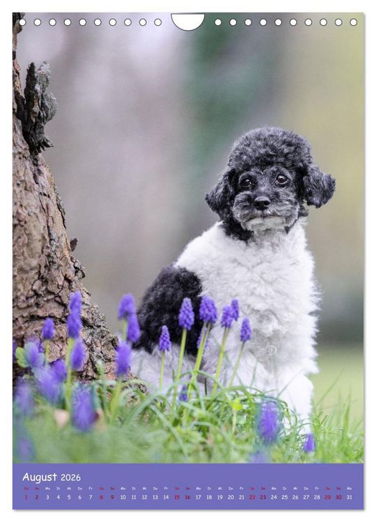 Produktbild: Flora Canidae - der Hunde-Bl&uuml;hpflanzen-Kalender (Wandkalender 2026 DIN A4 hoch), CALVENDO Monatskalender