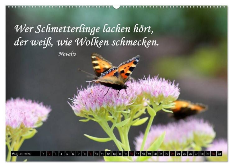 Produktbild: Weisheiten, Zitate und Spr&uuml;che - Ein Jahr voller Gedanken 2026 (hochwertiger Premium Wandkalender 2026 DIN A2 quer), Kunstdruck in Hochglanz