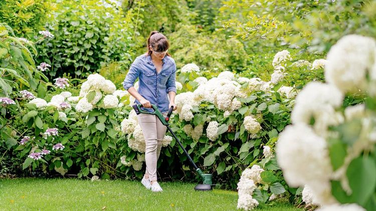 Produktbild: Bosch Home and Garden EasyGrassCut 18V-230 Akku Rasentrimmer inkl. Akku, inkl. Ladeger&auml;t 18 V 2 Ah Schnittbreite (max.): 23 cm