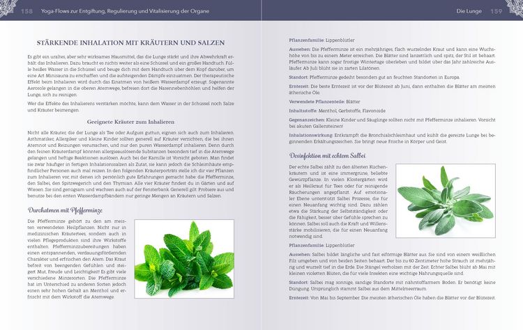 Produktbild: Yoga f&uuml;r die Organe