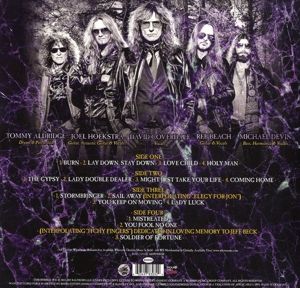 Produktbild: The Purple Album:Special Gold Edition