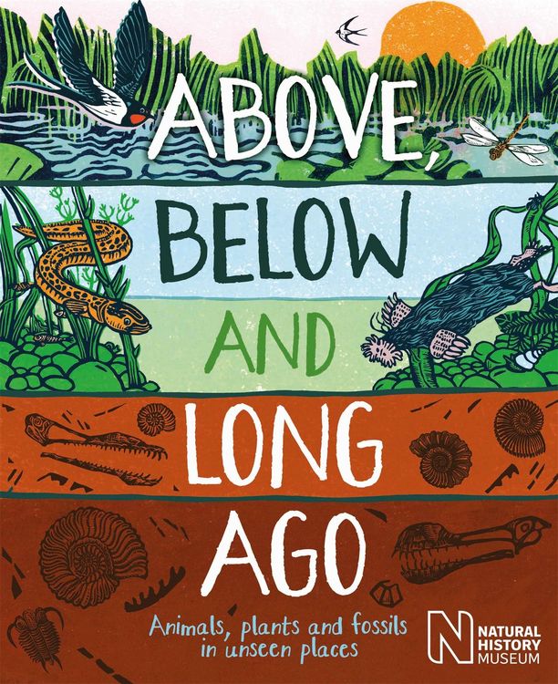 Produktbild: Above, Below and Long Ago