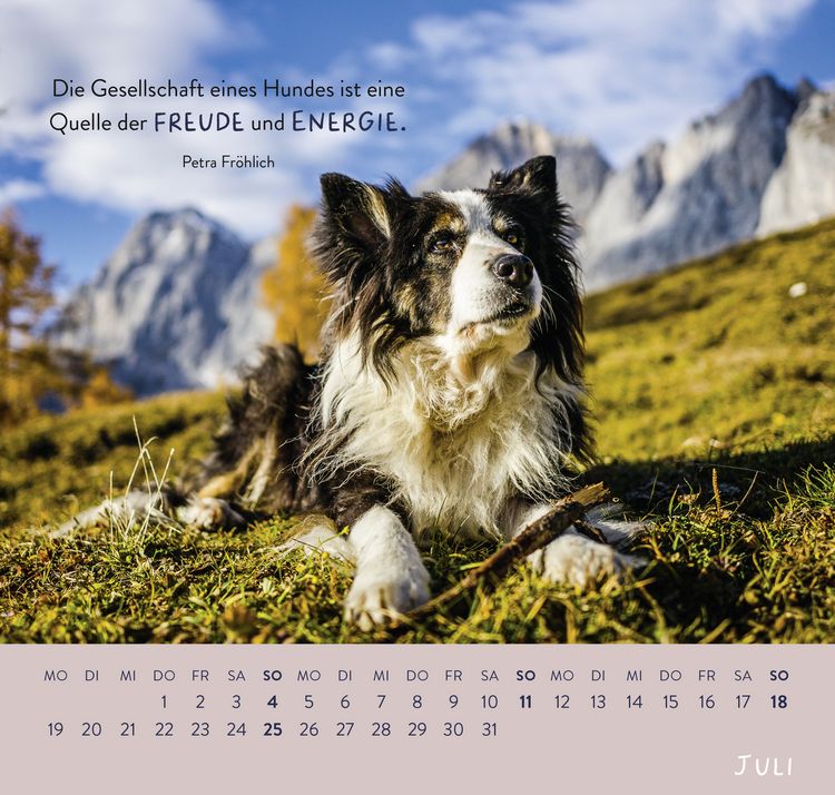 Produktbild: Wandkalender 2027: F&uuml;r Hundefreunde