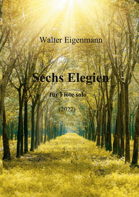Produktbild: Sechs Elegien für Flöte solo