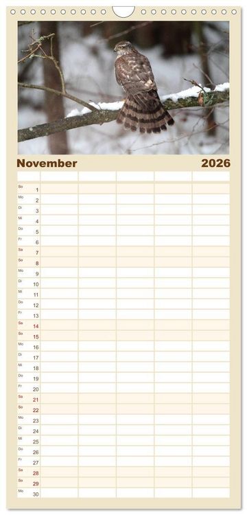 Produktbild: Familienplaner 2026 - Heimische Eulen und Greife mit 5 Spalten (Wandkalender, 21 x 45 cm) CALVENDO
