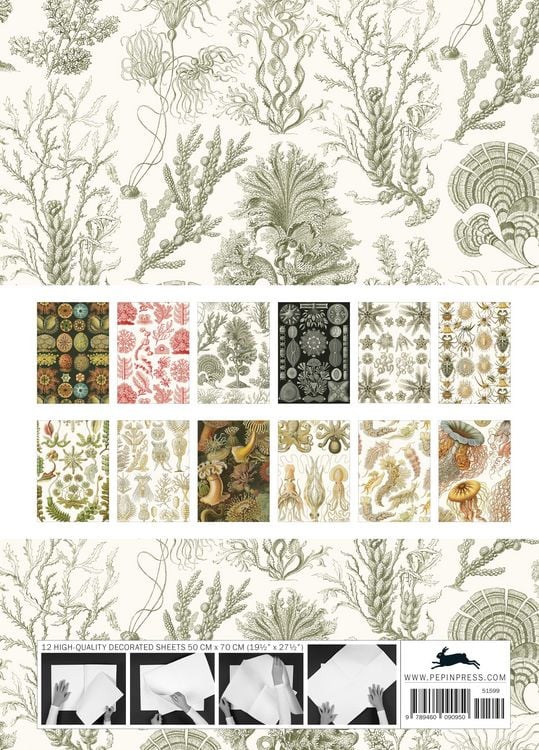 Produktbild: Art Forms in Nature