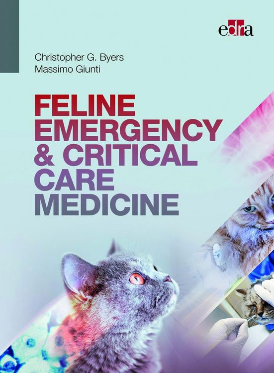 Produktbild: Feline Emergency & Critical Care Medicine