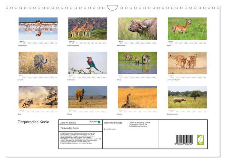 Produktbild: Tierparadies Kenia (Wandkalender 2026 DIN A3 quer), CALVENDO Monatskalender