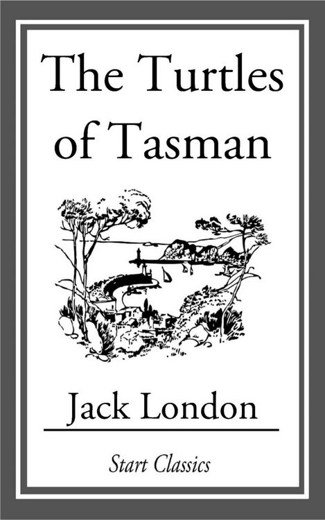 Produktbild: The Turtles of Tasman