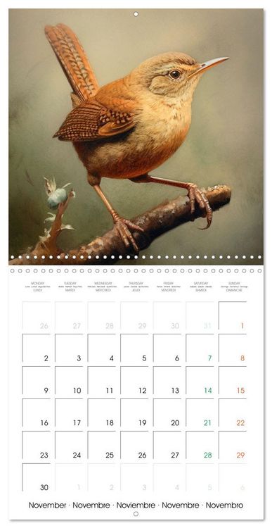 Produktbild: Ailes en sc&egrave;ne (Calendrier mural carr&eacute; 2026 30x30 cm) Calendrier double avec une page pour vos prises de notes