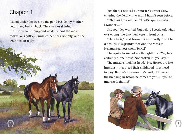 Produktbild: Collins Big Cat - Black Beauty