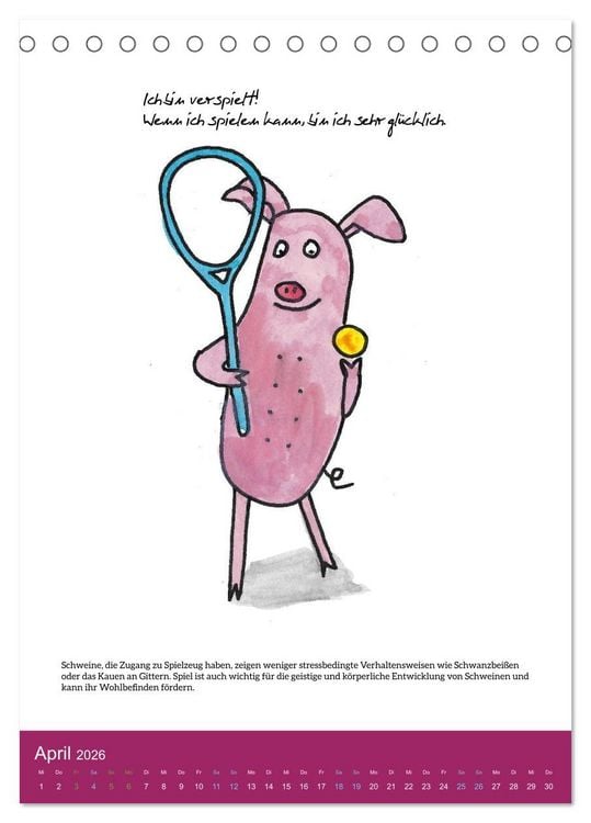 Produktbild: Schweinekalender - Alles was du &uuml;ber Schweine wissen wolltest! (Tischkalender 2026 DIN A5 hoch), CALVENDO Monatskalender