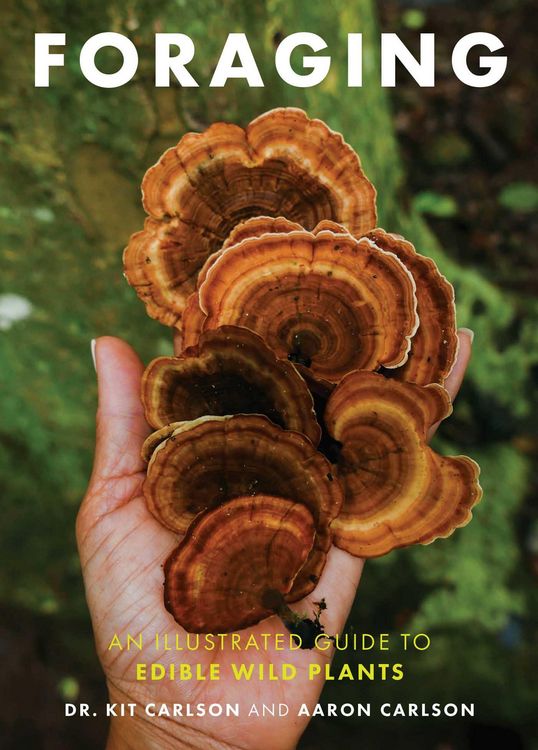 Produktbild: Foraging