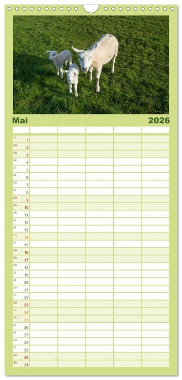 Produktbild: Familienplaner 2026 - Ameland Wundersch&ouml;ne Insel mit 5 Spalten (Wandkalender, 21 x 45 cm) CALVENDO