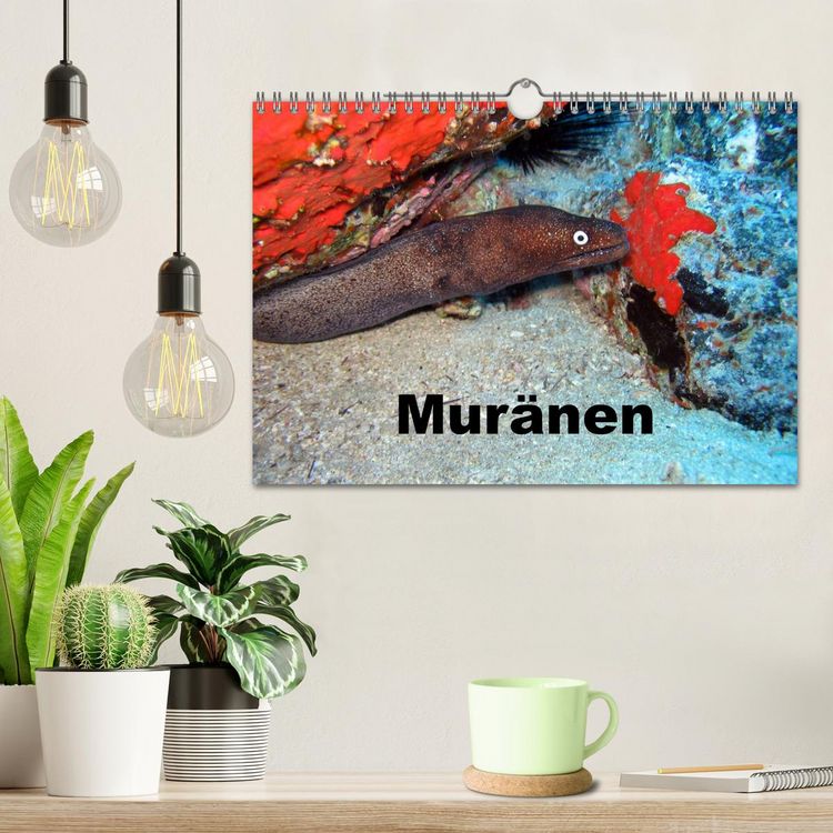 Produktbild: Mur&auml;nen (Wandkalender 2026 DIN A4 quer), CALVENDO Monatskalender