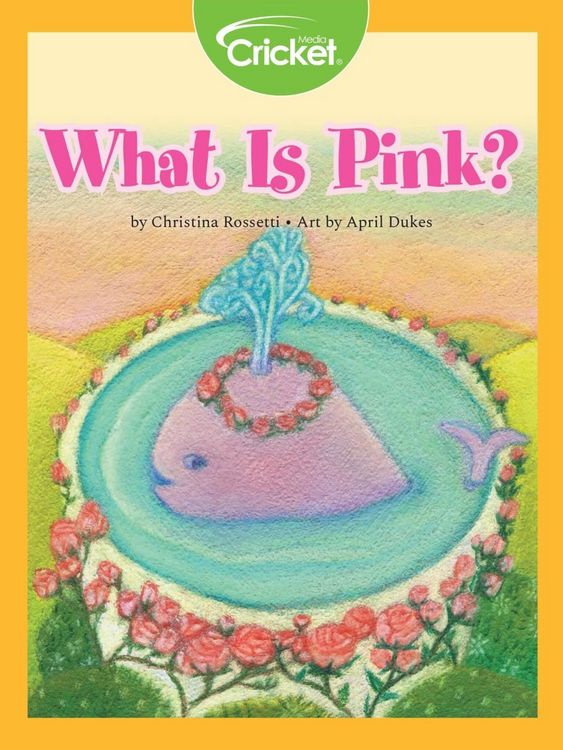 Produktbild: What Is Pink?