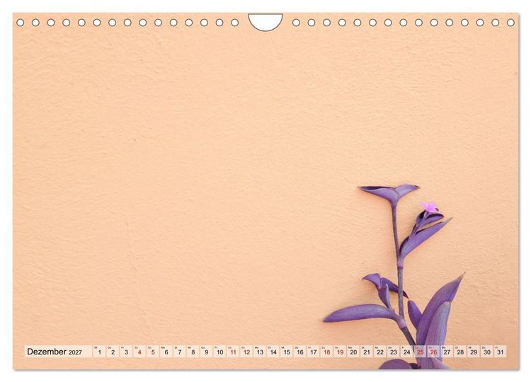 Produktbild: Minimal Burano (Wandkalender 2027 DIN A4 quer), CALVENDO Monatskalender