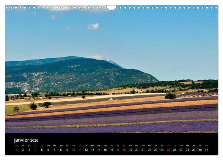 Produktbild: Lavande, l'or bleu de Provence (Calendrier mural 2026 DIN A3 vertical), CALVENDO calendrier mensuel