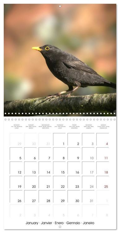 Produktbild: Blt, S: Esp&egrave;ces de Nouvelle Aquitaine (Calendrier mural carr