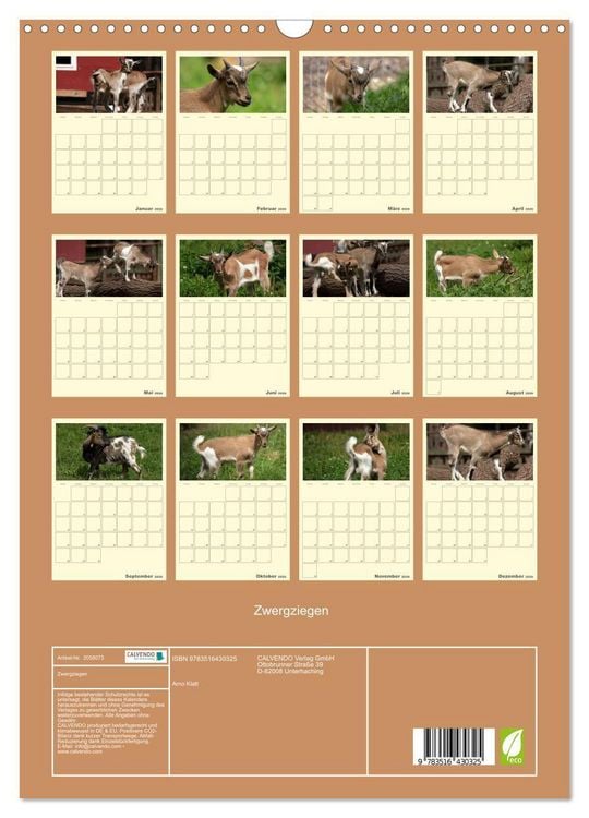 Produktbild: Zwergziegen (Wandkalender 2026 DIN A3 hoch), CALVENDO Monatskalender