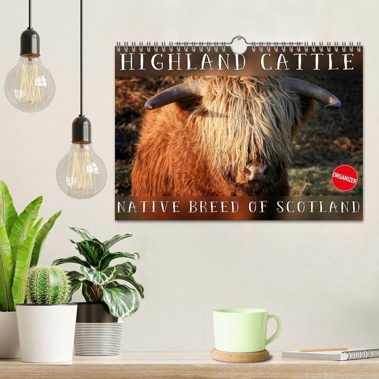 Produktbild: Highland Cattle - Native Breed of Scotland (Wall Calendar 2026 DIN A4 landscape), CALVENDO 12 Month Wall Calendar