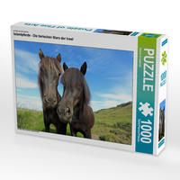 Produktbild: CALVENDO Puzzle Islandpferde - Die tierischen Stars der Insel 1000 Teile Lege-Gr&ouml;&szlig;e 64 x 48 cm Foto-Puzzle Bild von Rainer Grosskopf
