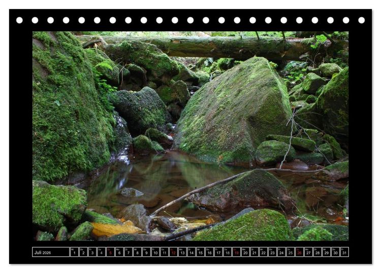 Produktbild: Odenwald - Landschaft sehen (Tischkalender 2026 DIN A5 quer), CALVENDO Monatskalender