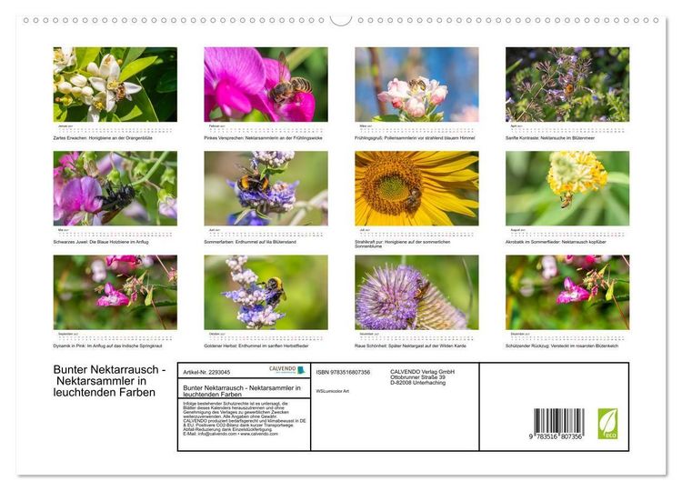 Produktbild: Bunter Nektarrausch - Nektarsammler in leuchtenden Farben (hochwertiger Premium Wandkalender 2027 DIN A2 quer), Kunstdruck in Hochglanz