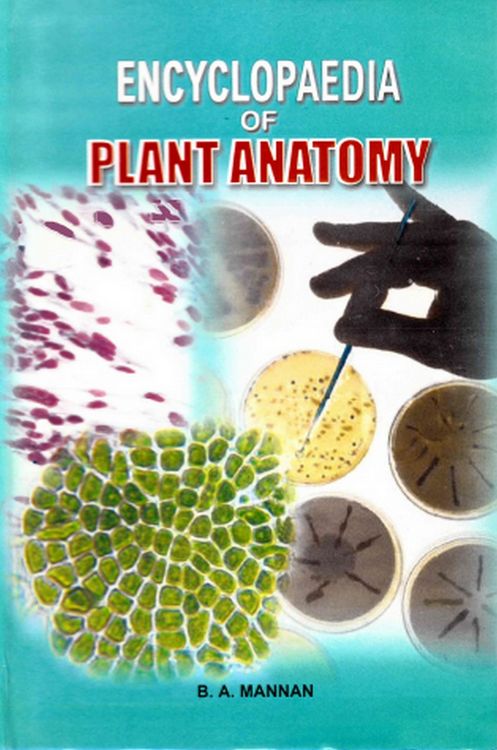 Produktbild: Encyclopaedia of Plant Anatomy