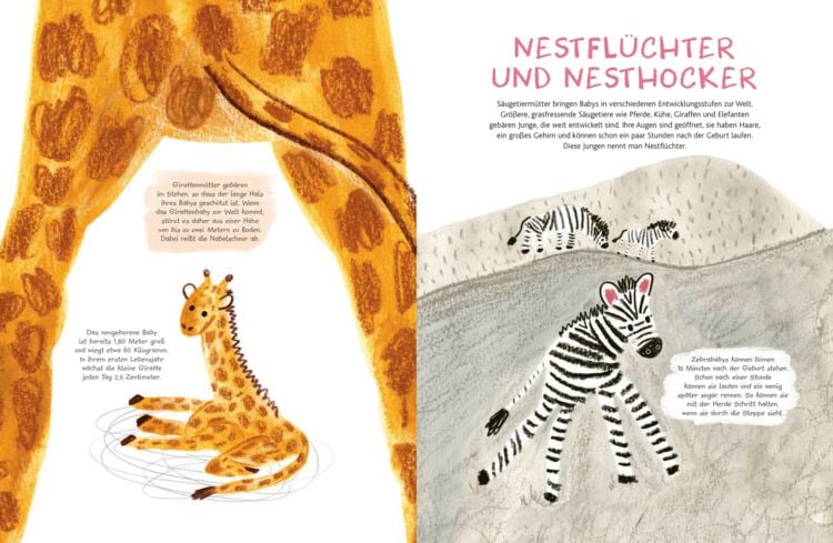 Produktbild: Kleine S&auml;ugetiere werden gro&szlig;