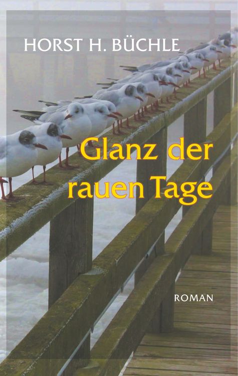 Produktbild: Glanz der rauen Tage