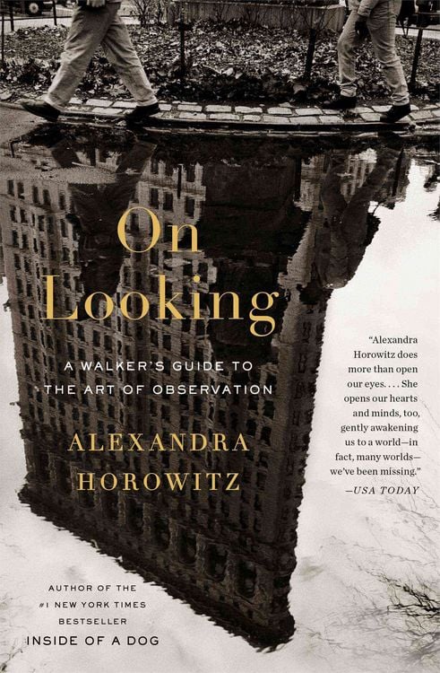 Produktbild: On Looking