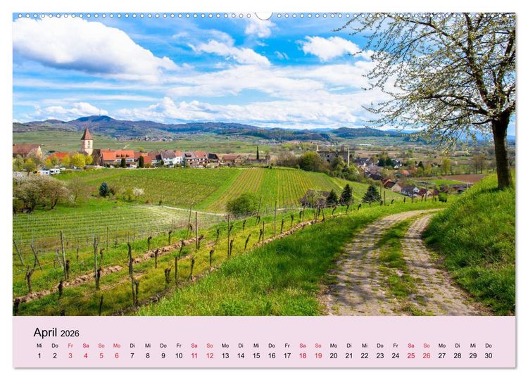Produktbild: Augenblicke im Kaiserstuhl (Wandkalender 2026 DIN A2 quer), CALVENDO Monatskalender