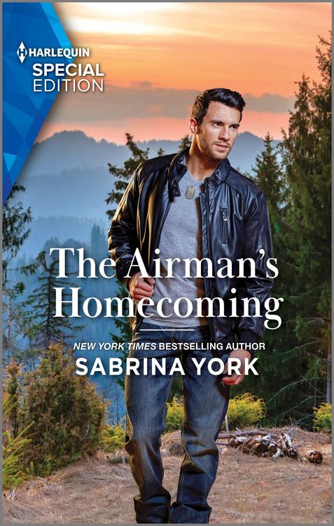 Produktbild: The Airman's Homecoming