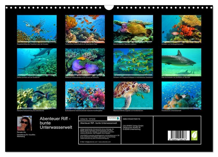 Produktbild: Abenteuer Riff - bunte Unterwasserwelt (Wandkalender 2026 DIN A3 quer), CALVENDO Monatskalender