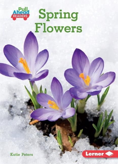 Produktbild: Spring Flowers