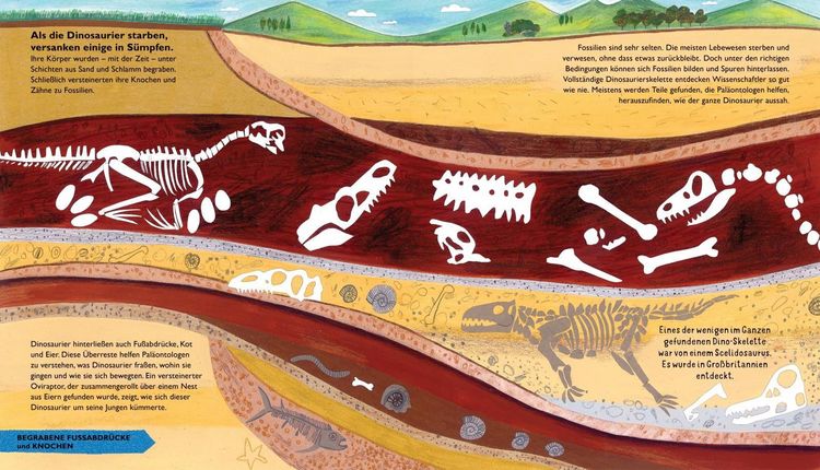 Produktbild: So lebten die Dinosaurier und andere Tiere der Urzeit