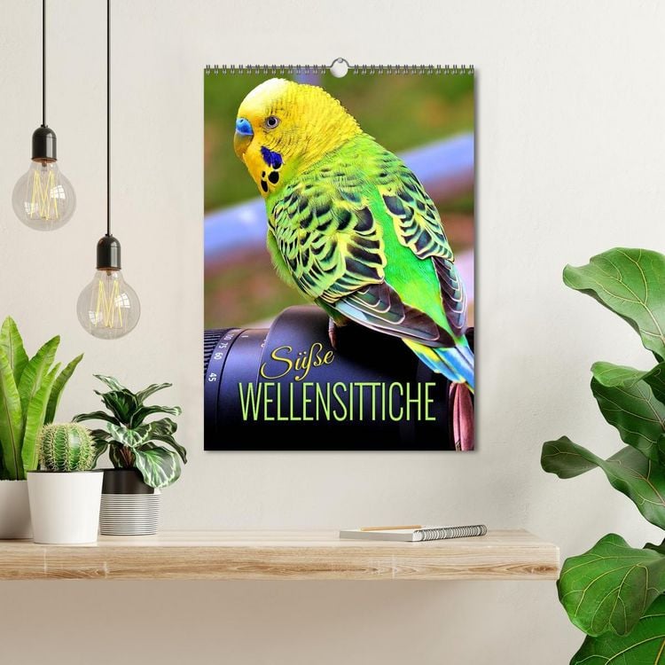 Produktbild: S&uuml;&szlig;e Wellensittiche (Wandkalender 2026 DIN A3 hoch), CALVENDO Monatskalender