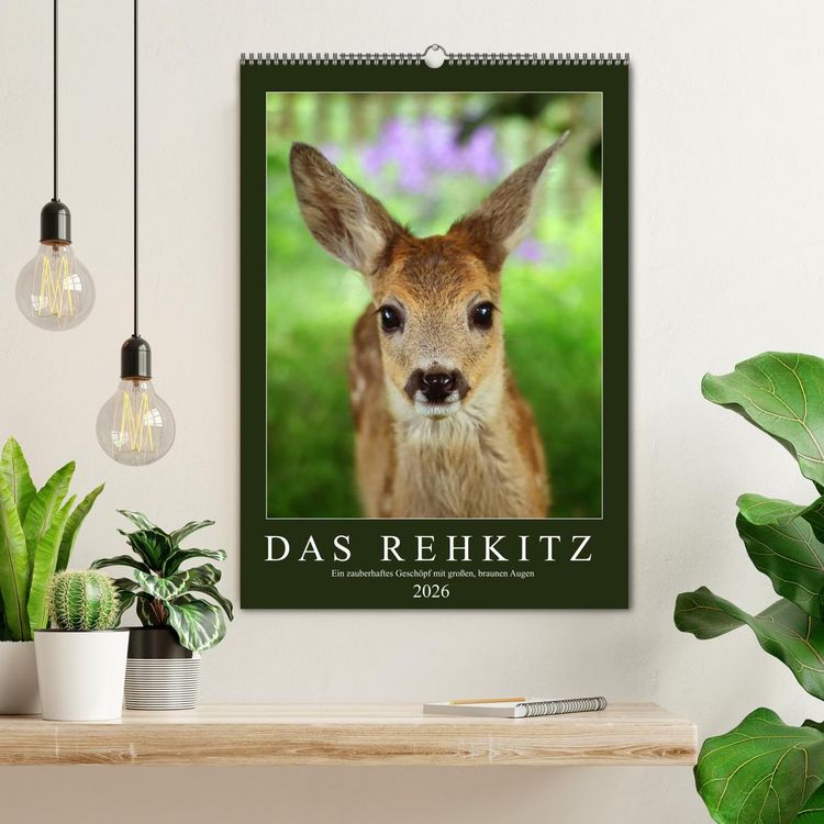 Produktbild: Das Rehkitz, ein zauberhaftes Gesch&ouml;pf mit gro&szlig;en, braunen Augen (Wandkalender 2026 DIN A2 hoch), CALVENDO Monatskalender