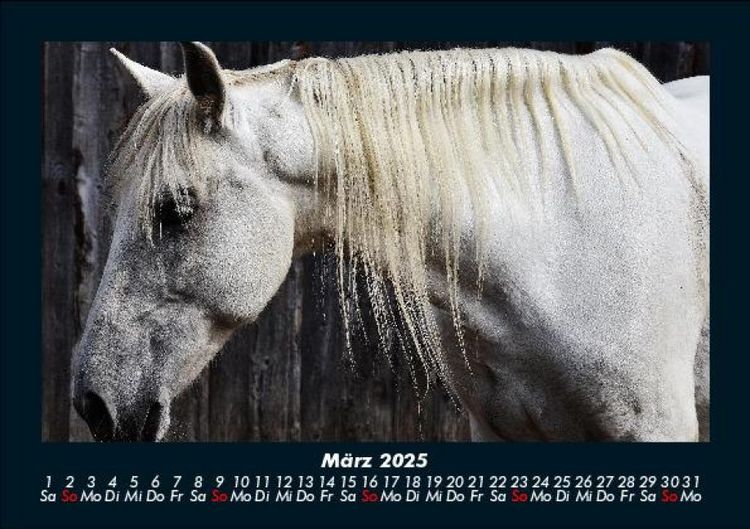 Produktbild: Die Welt der Pferde 2025 Fotokalender DIN A5