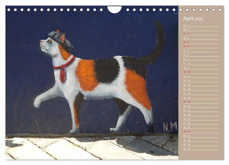 Produktbild: Flensburger Katzen (Wandkalender 2026 DIN A4 quer), CALVENDO Monatskalender