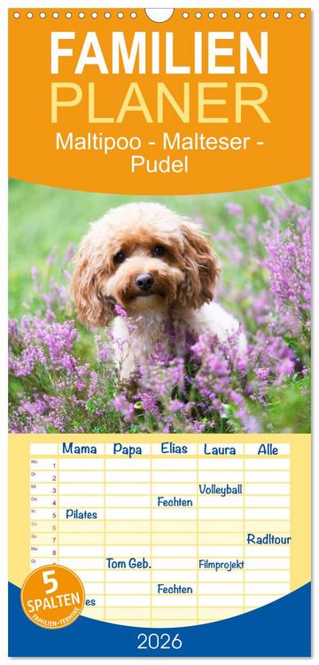 Produktbild: Familienplaner 2026 - Maltipoo - Malteser -Pudel mit 5 Spalten (Wandkalender, 21 x 45 cm) CALVENDO
