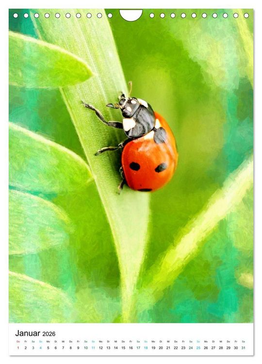 Produktbild: Sommergl&uuml;ck - Artwork (Wandkalender 2026 DIN A4 hoch), CALVENDO Monatskalender