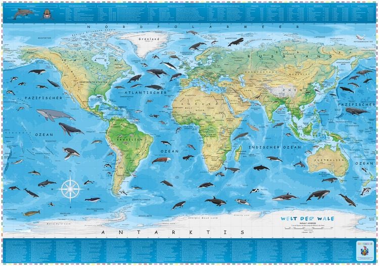 Produktbild: COLUMBUS Kinderweltkarte Welt der Wale