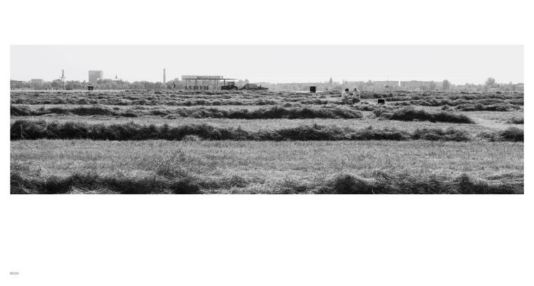 Produktbild: Tempelhof. metamorphosis