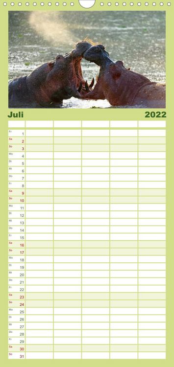 Produktbild: Flusspferde Magie des Augenblicks - Hippos in Afrika - Familienplaner hoch (Wandkalender 2022 , 21 cm x 45 cm, hoch)
