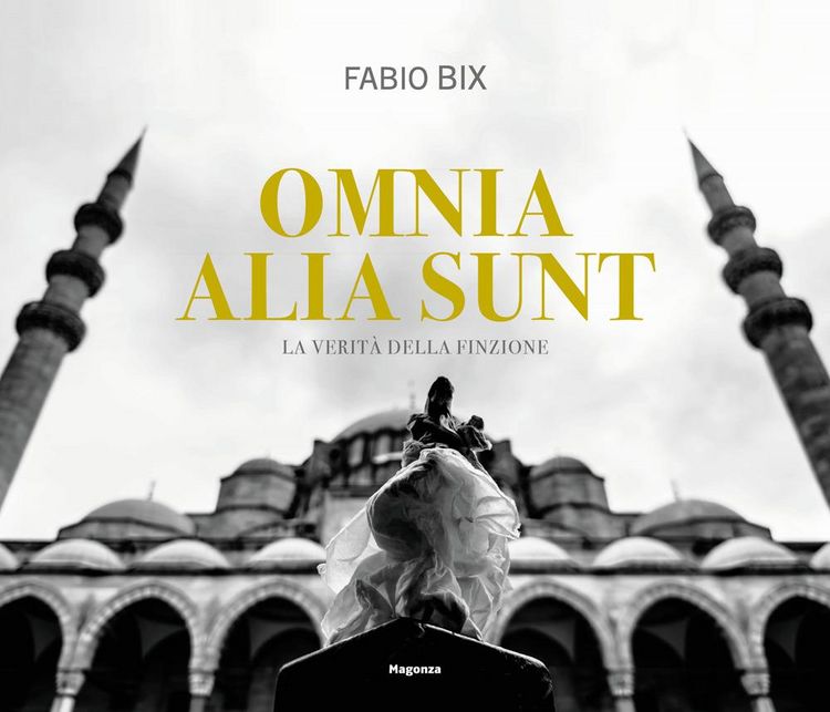 Produktbild: Omnia alia sunt. La verit&agrave; della finzione. Ediz. italiana e inglese