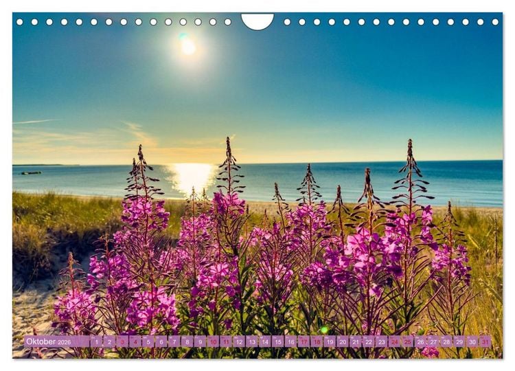 Produktbild: SCHWEDEN wild-romantisch (Wandkalender 2026 DIN A4 quer), CALVENDO Monatskalender