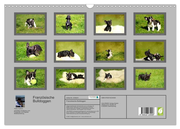 Produktbild: Franz&ouml;sische Bulldoggen (Wandkalender 2026 DIN A3 quer), CALVENDO Monatskalender
